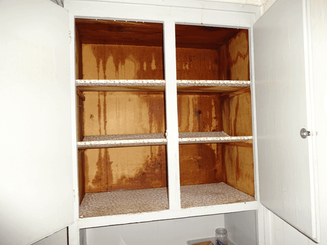 Wasserschadensanierung durch jgp